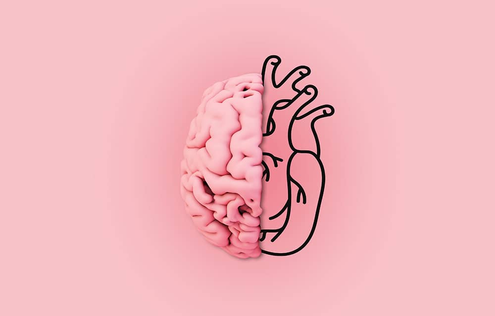 Curso breve de Inteligencia Emocional